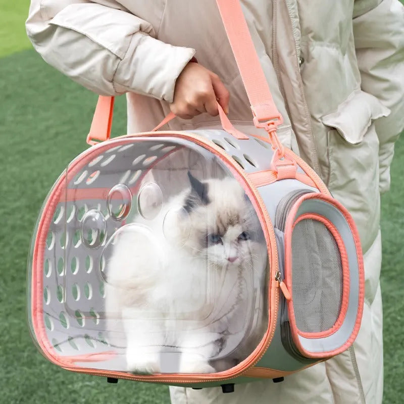 Hard EVA transparent cat backpack space capsule carrier in grass green colour showing 42x28x35cm dimensions