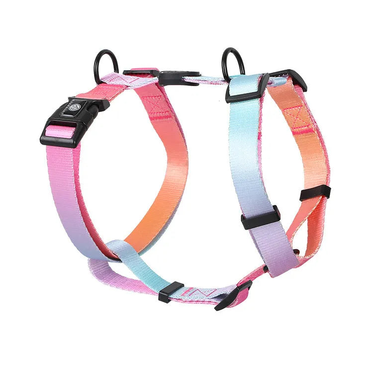 Gradient colour pet chest harness in purple, blue, neon, or green designs with adjustable sizing.