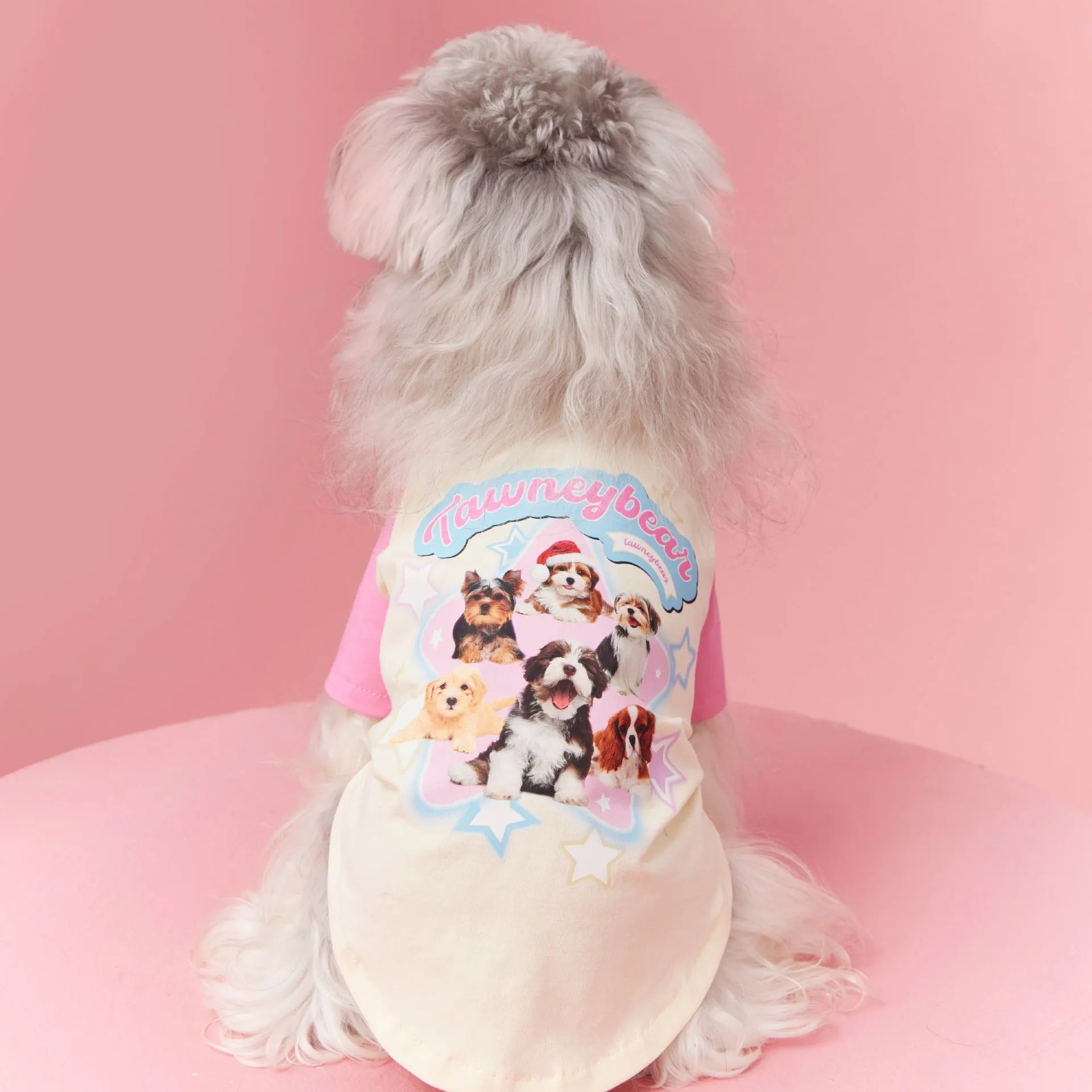 Cotton dog summer shirt with embroidery in red or pink, showing size range XS to XXL