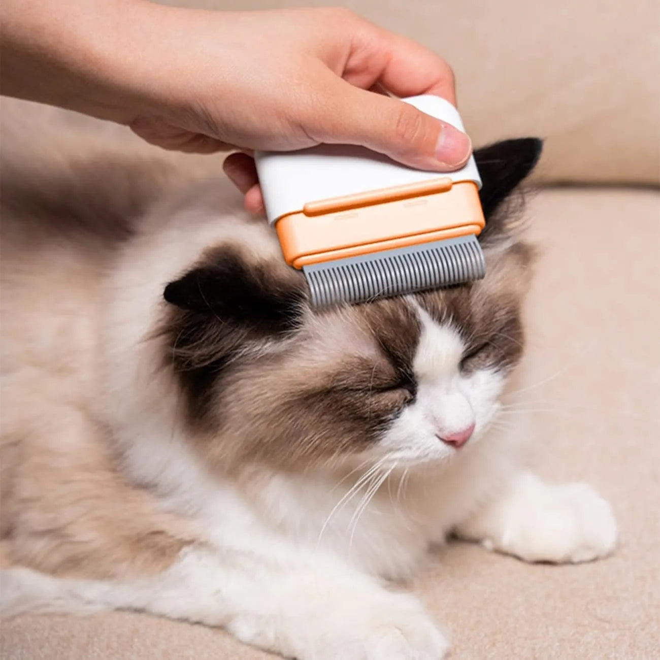 Double-sided pet grooming comb for cats and dogs in blue, gray, or orange