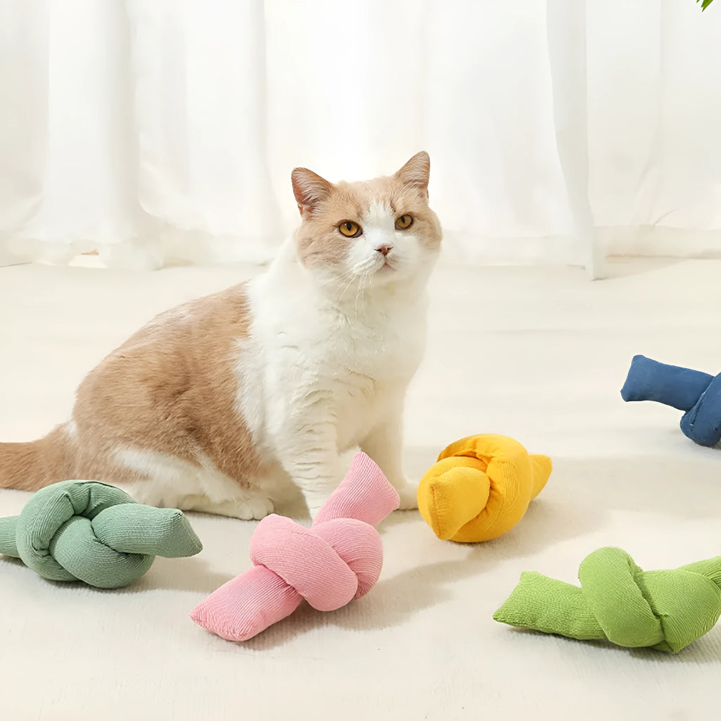 White natural cotton dog rope toy with multiple sturdy knots for tugging and chewing