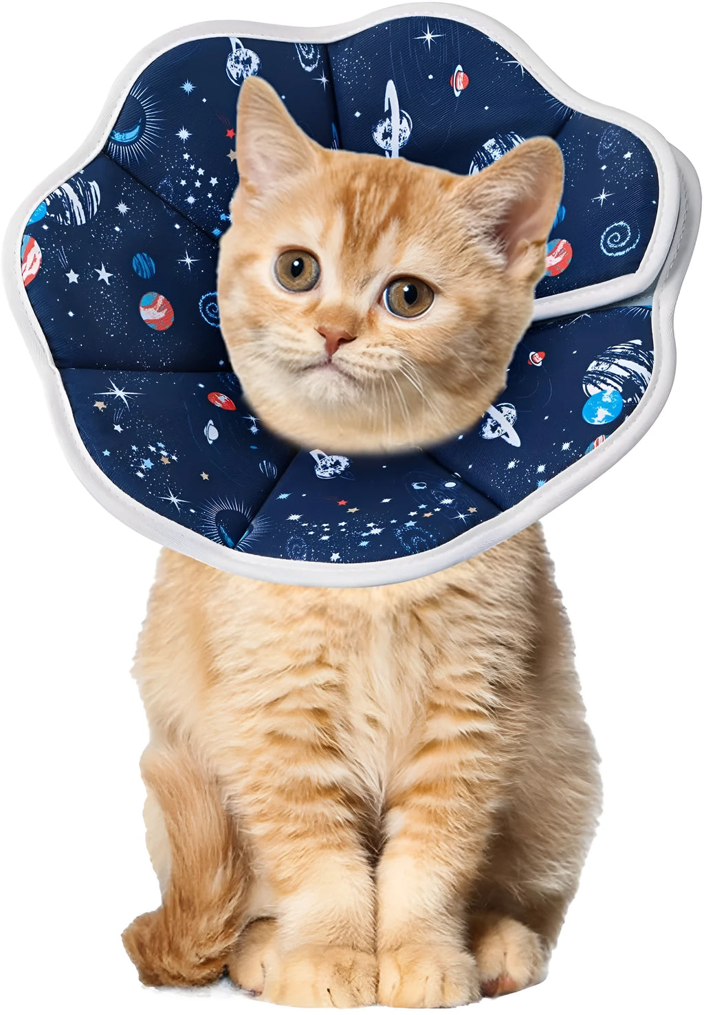 Soft cat recovery collar in Constellation pattern on a small cat resting after surgery