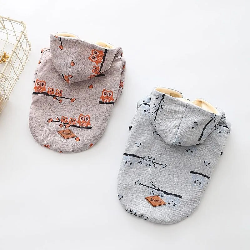 Blue cotton dog pattern sweater zipper coat on a small dog lying down