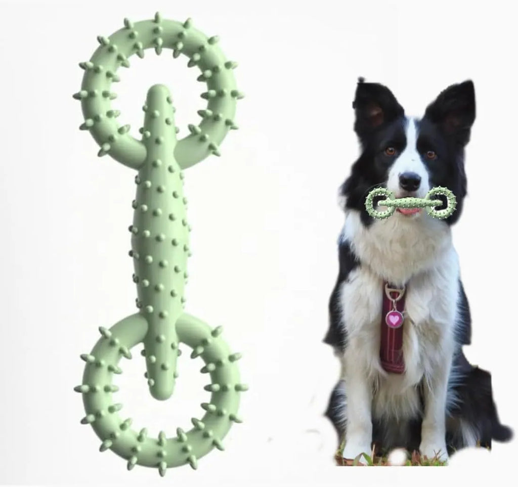 TPR rubber dog chew toy ring in blue, green, or pink colours, 16cm diameter chew toy