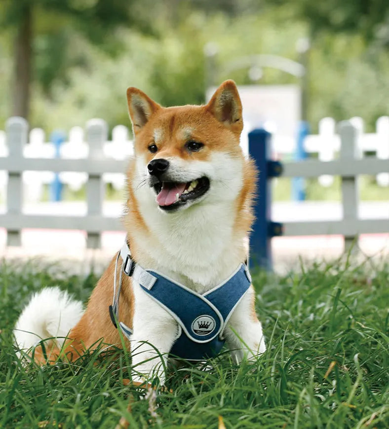 Adjustable dog harness vest with reflective mesh, back metal ring, available in multiple colours and sizes