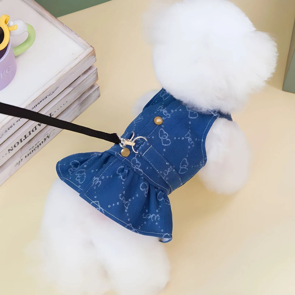 Teddy Bichon dog wearing denim princess dress with bracket skirt detailing