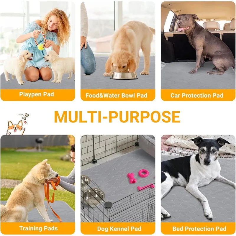Two washable dog pee pads in grey and khaki on a floor, one with a small dog standing on it