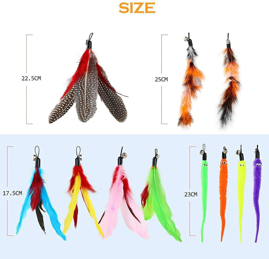 Cat teaser toy with extendable fishing rod and multiple feather replacement heads for interactive play