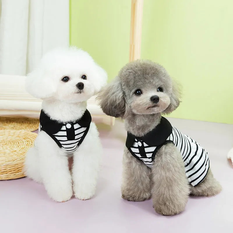 Striped cotton t-shirt and skirt set for a dog or cat on a hanger.