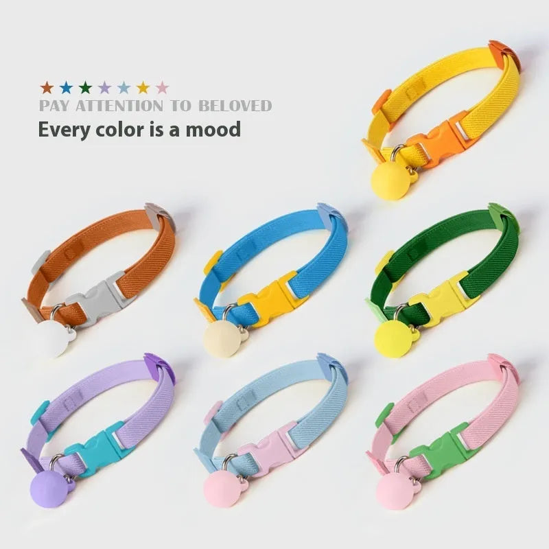 Small dog collar in polyester with high elasticity adjustment between 22-32cm showing seven colour options