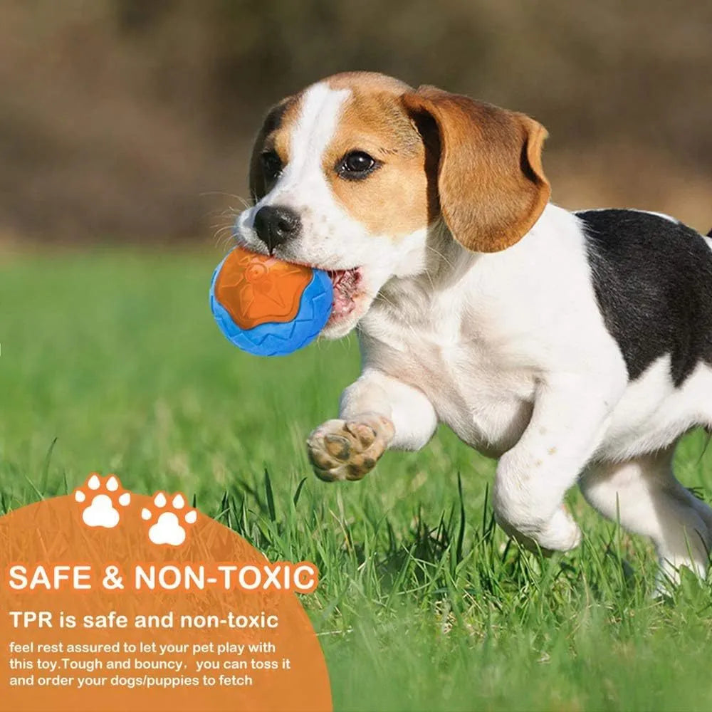 TPR floating squeaky dog toy with bump and spike textures in ball, barbell, or tyres shapes