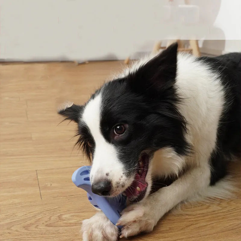 Blue bite-resistant boomerang dog chew toy with textured molar-cleaning edge for medium large breed dogs