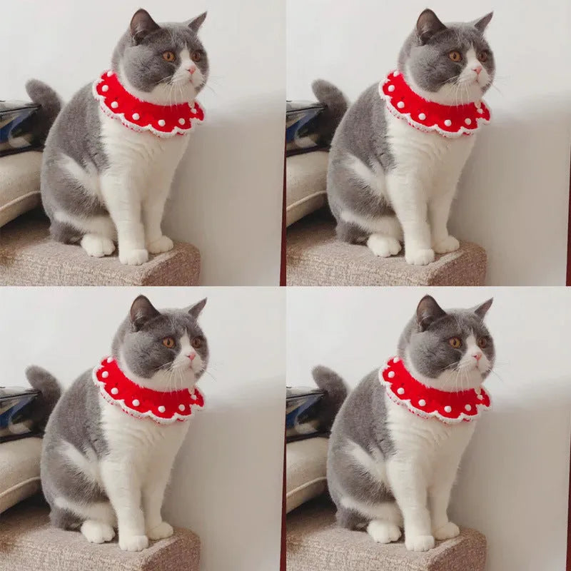 Milk cotton knitted pet collar with cartoon pattern, shown in customisable colours for XS, S, M, L sizes.
