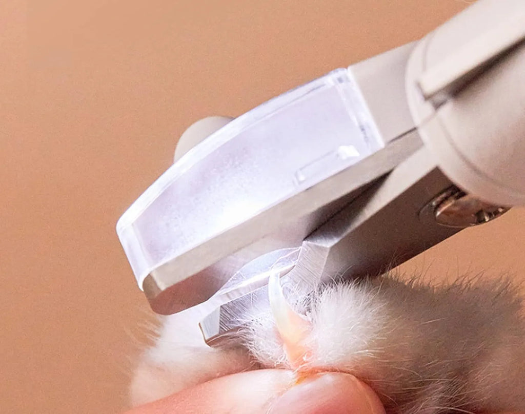 White LED pet nail clippers with transparent guard and triangular steel blade for dogs and cats