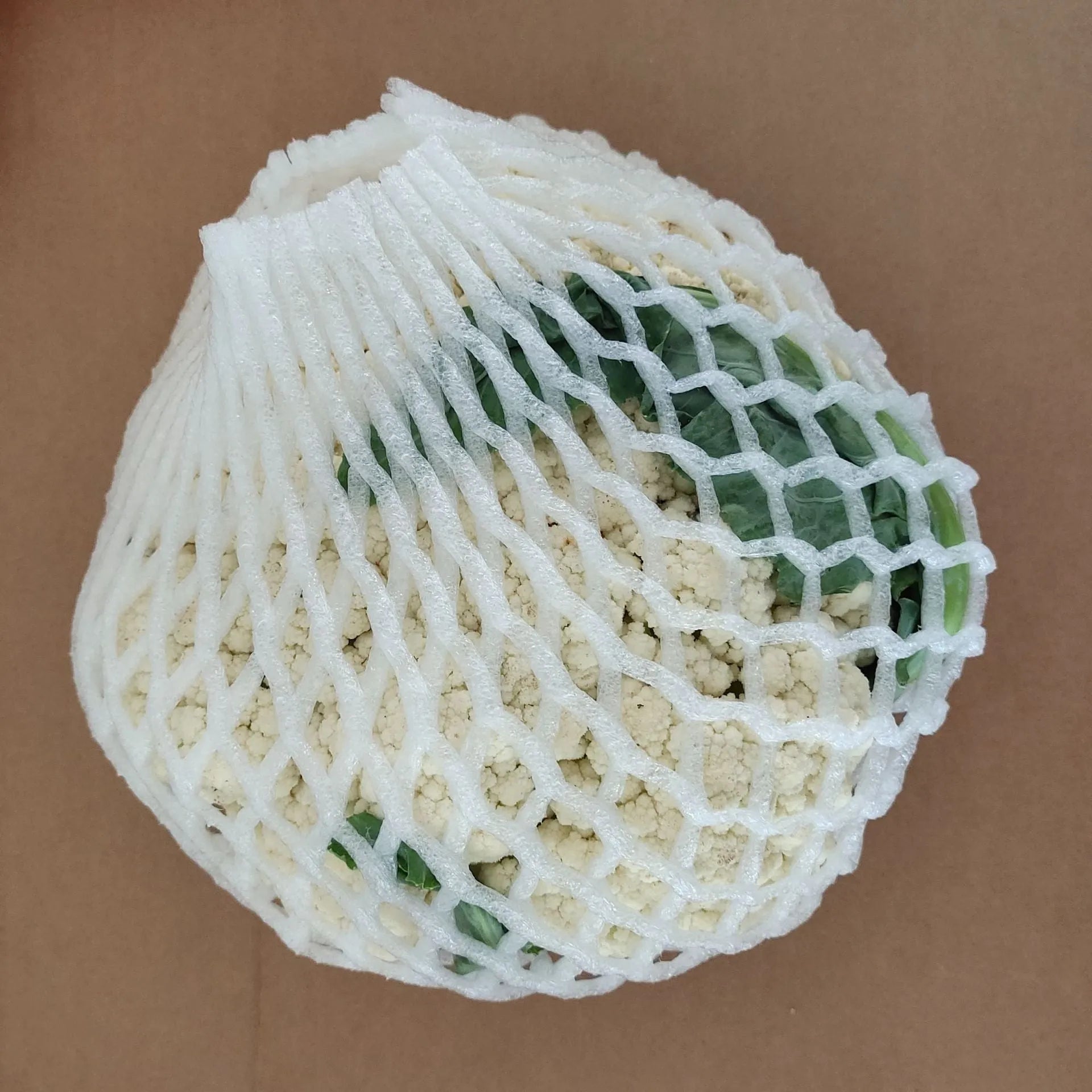 White foam protective case showing stretchable net construction for item cushioning
