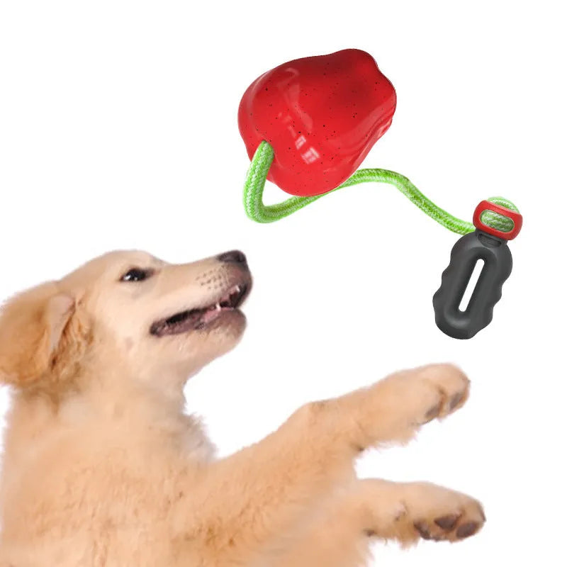 Plastic food dropping ball dog molar toy in green and red colour options