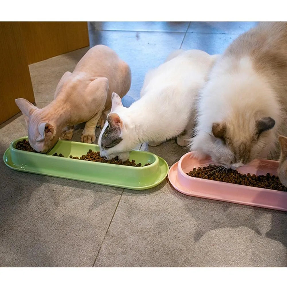 Leakproof pet bowl feeder set for cats and dogs in green pink and yellow colours