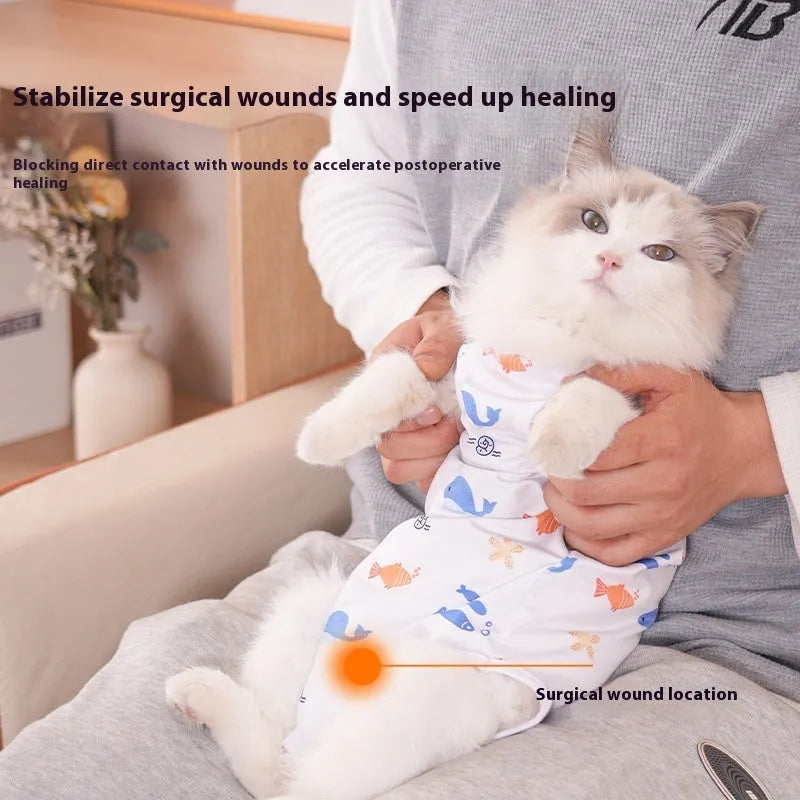 Cat wearing a post-operative sterilisation recovery suit with Velcro fastenings on its side.