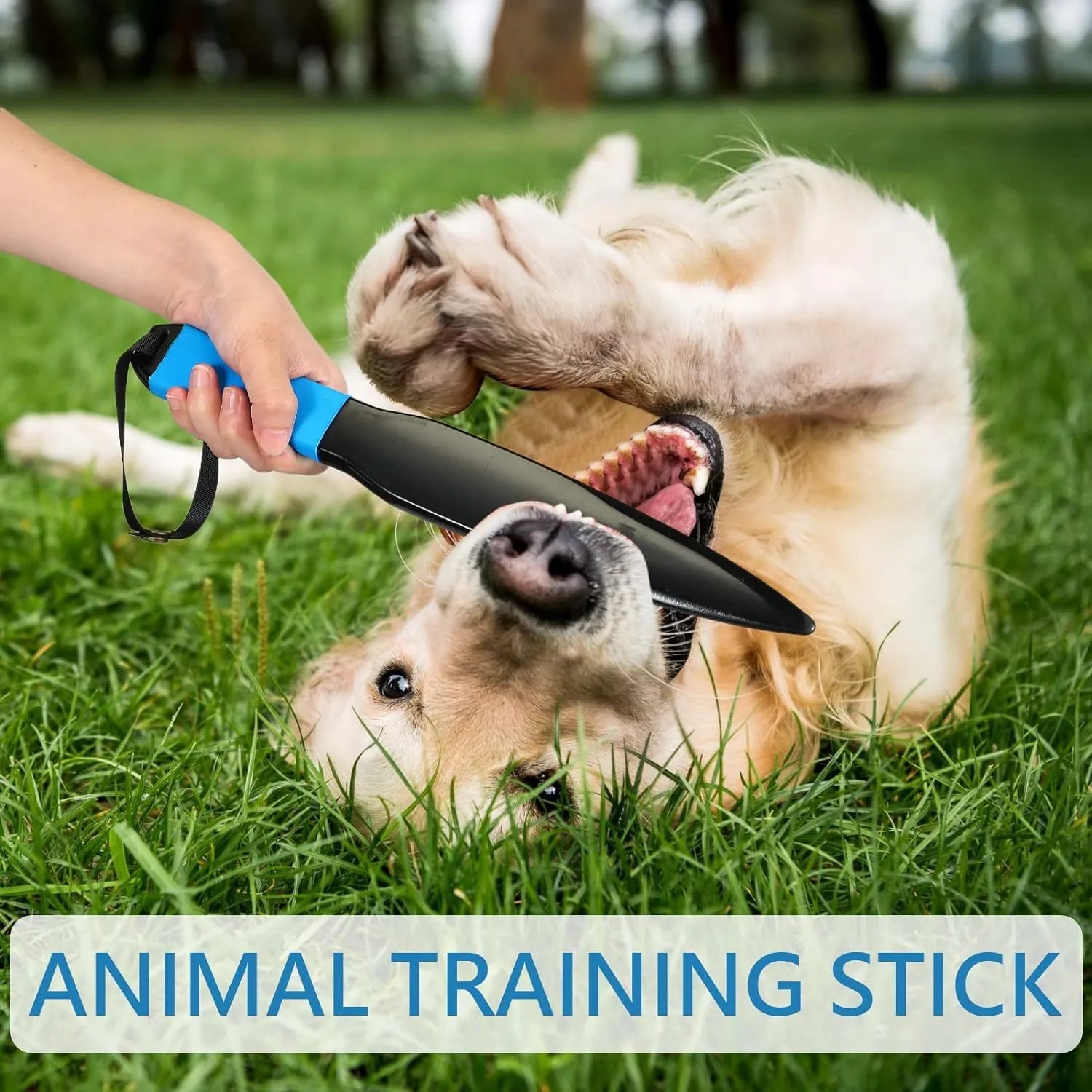 Blue handled nylon dog break stick for bite training, measuring 35 cm long.