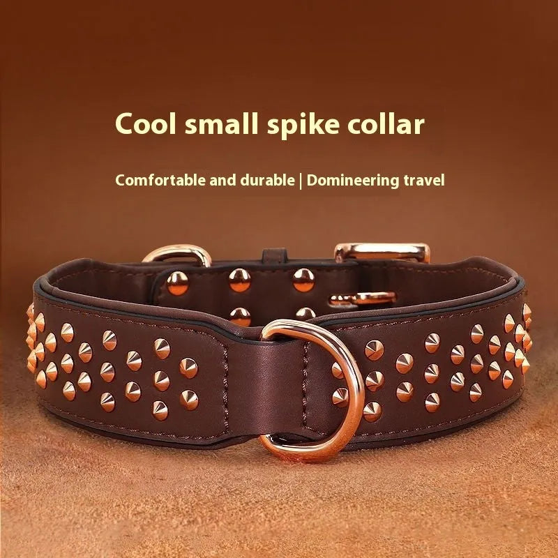 Brown leather dog collar with metal rivets and a silver buckle, shown on a black background.