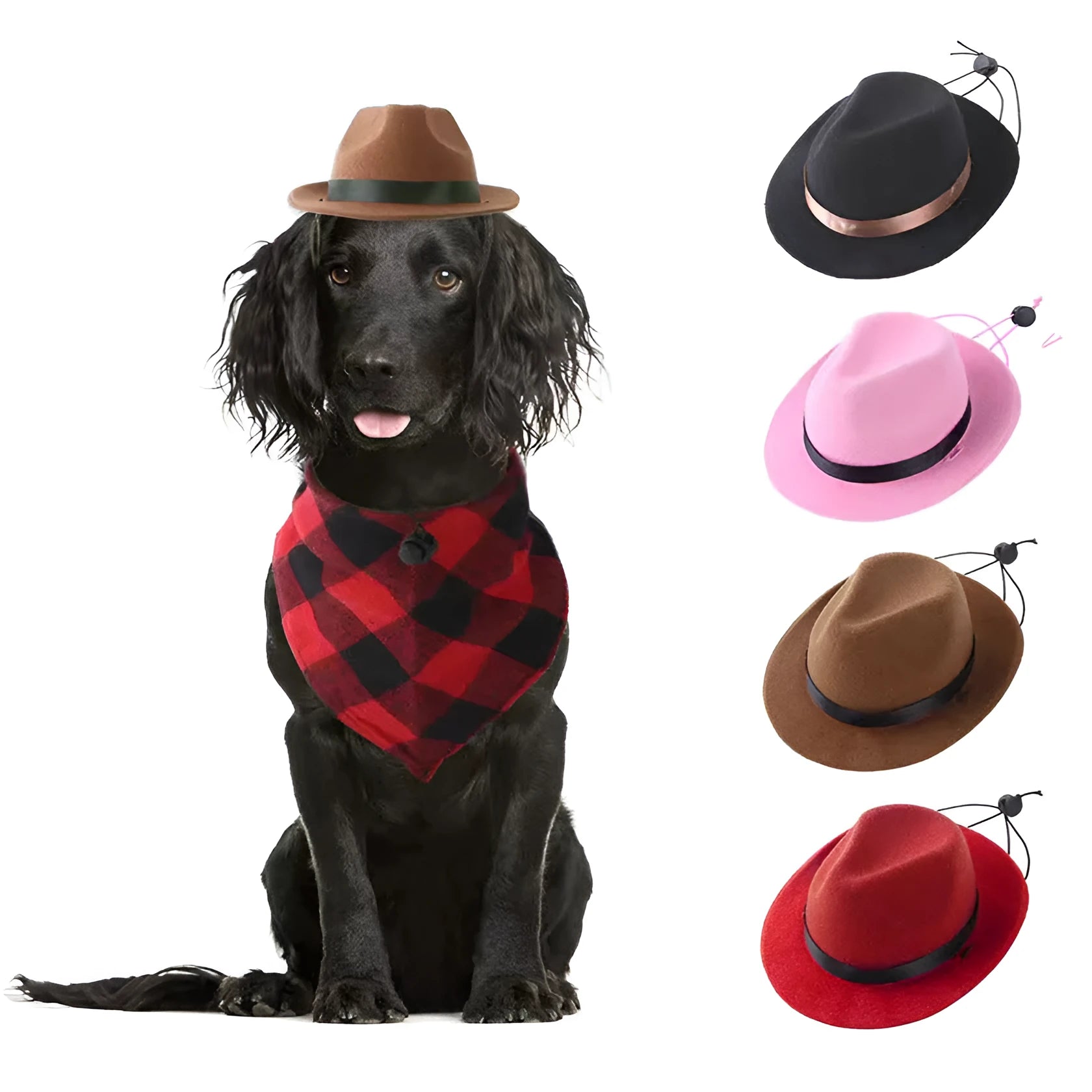 S size wool felt mini pet hat with 155cm diameter in denim style