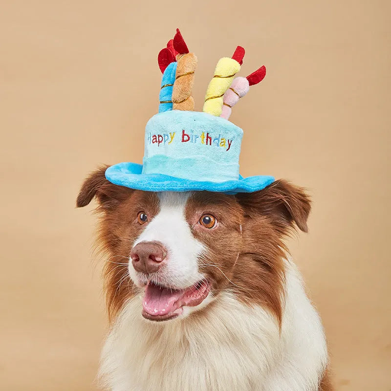 A blue or pink lightweight birthday hat for dogs on a white background.