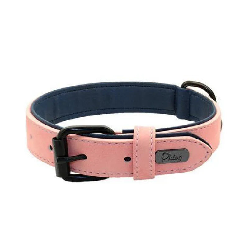 Simple and portable adjustable dog collar in purple with double-layer thickening and anti loss design