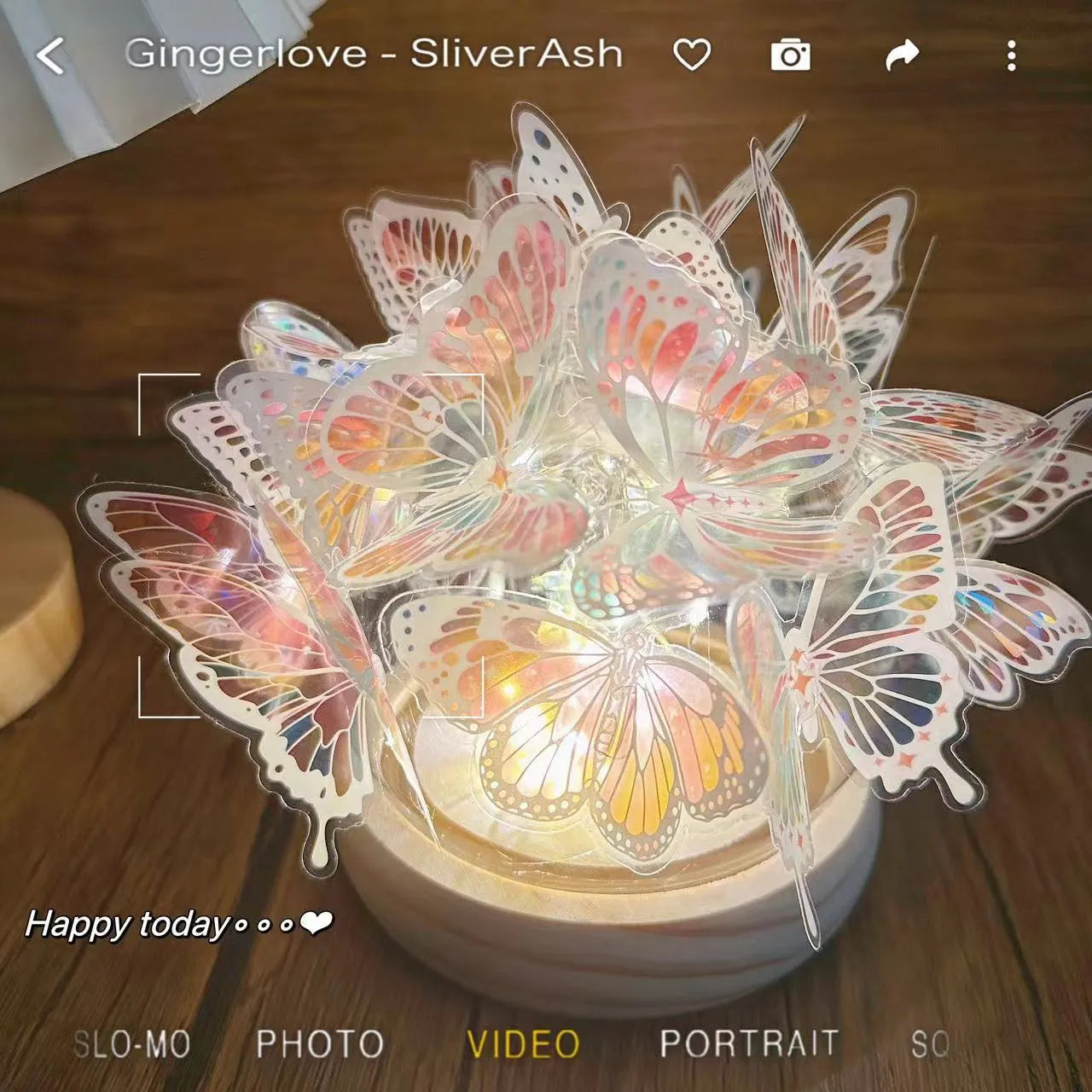 Butterfly night lamp with glass shade and raw wood base measuring 12x15cm