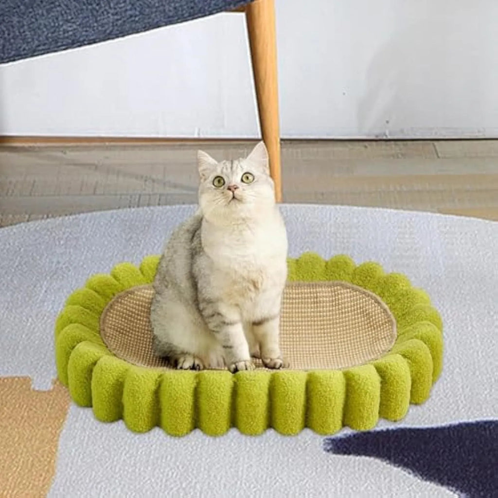Green oval cat scratch pad and bed made from sisal measuring 650x420x100mm
