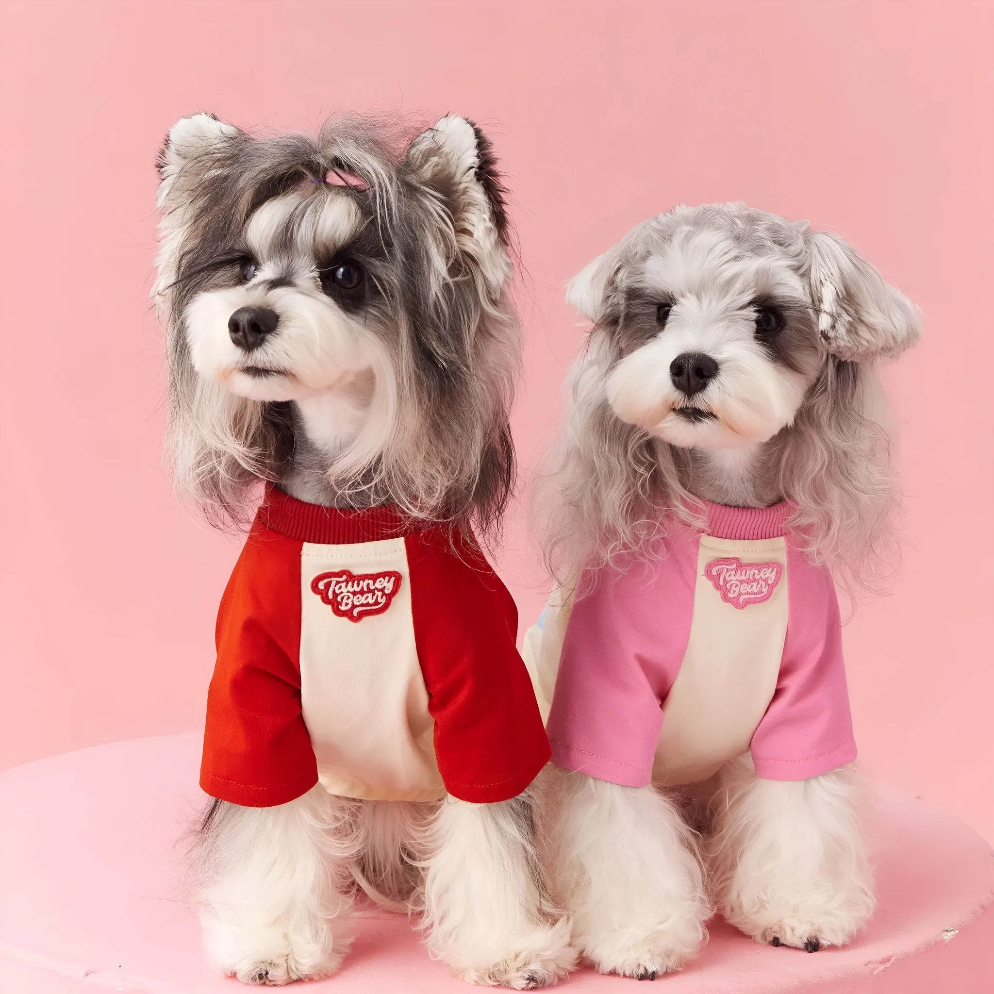 Cotton dog summer shirt with embroidery in red or pink, showing size range XS to XXL