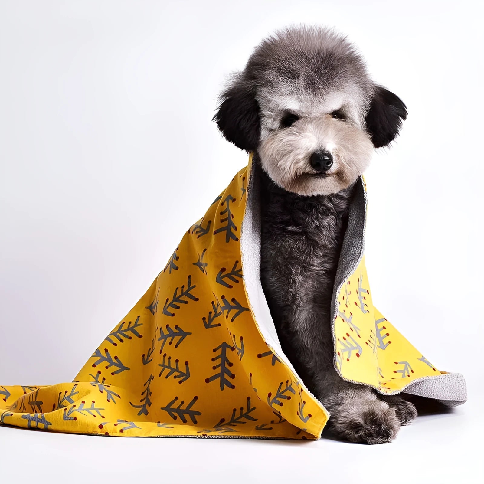 Pet double-sided cotton velvet blanket kennel mat in multicolour prints on white background