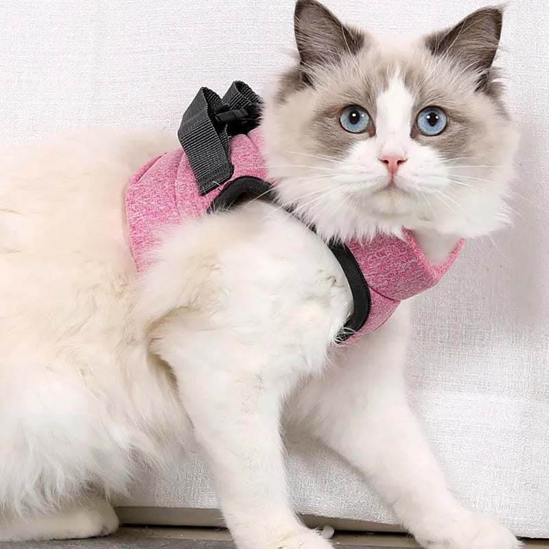 Breathable lace rope cat leash and chest harness set in four colours sky blue hemp gray pink emerald green JIYUANPET