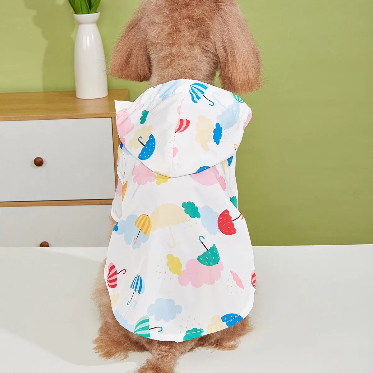 Colourful cartoon umbrella pattern dog raincoat on a model dog, showing polyester fabric and weather protection design.