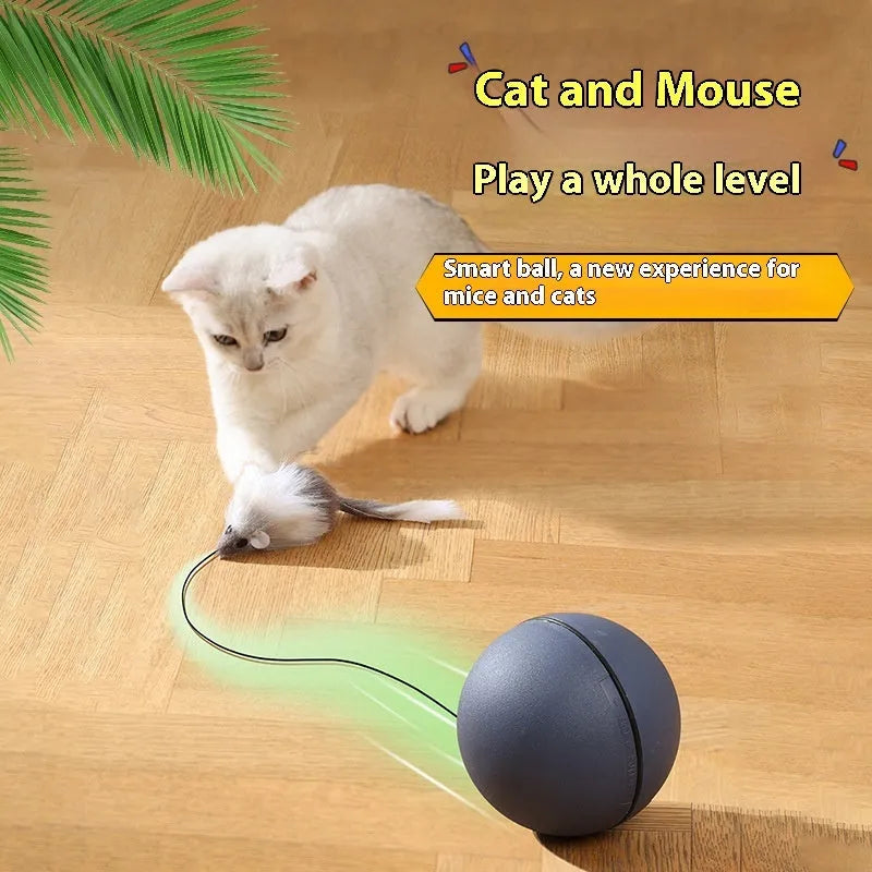 Automatic cat toy mouse teaser ball with plush mouse in blue orange and dark gray on floor