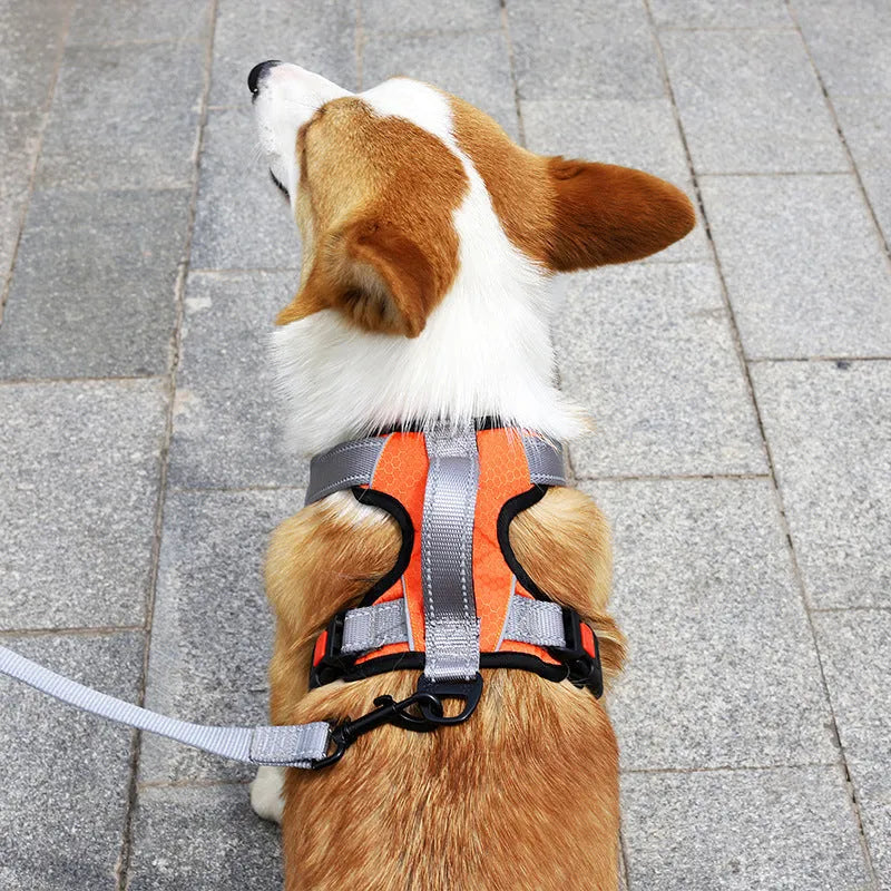 Dog hand holding rope vest chest strap in polyester with colour options and sizes L M XL
