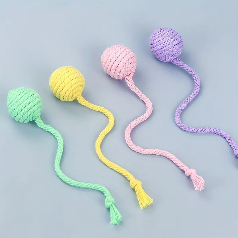 Colourful cat toy ball with an attached rope, shown in green, pink, purple, and yellow with 6cm and 3cm size options.