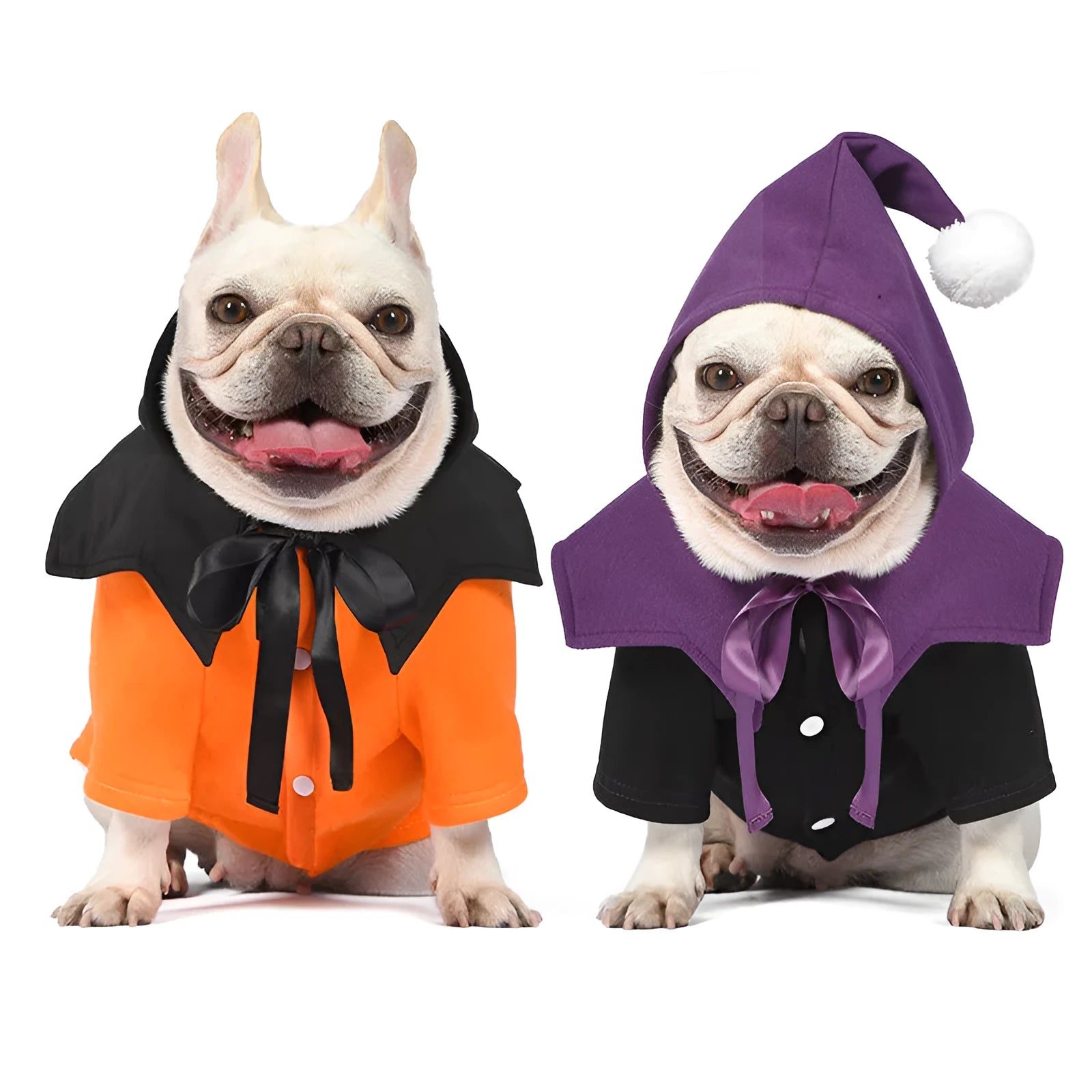 Halloween pumpkin dog clothes in black and orange, two-piece sweater and shawl set on a small dog