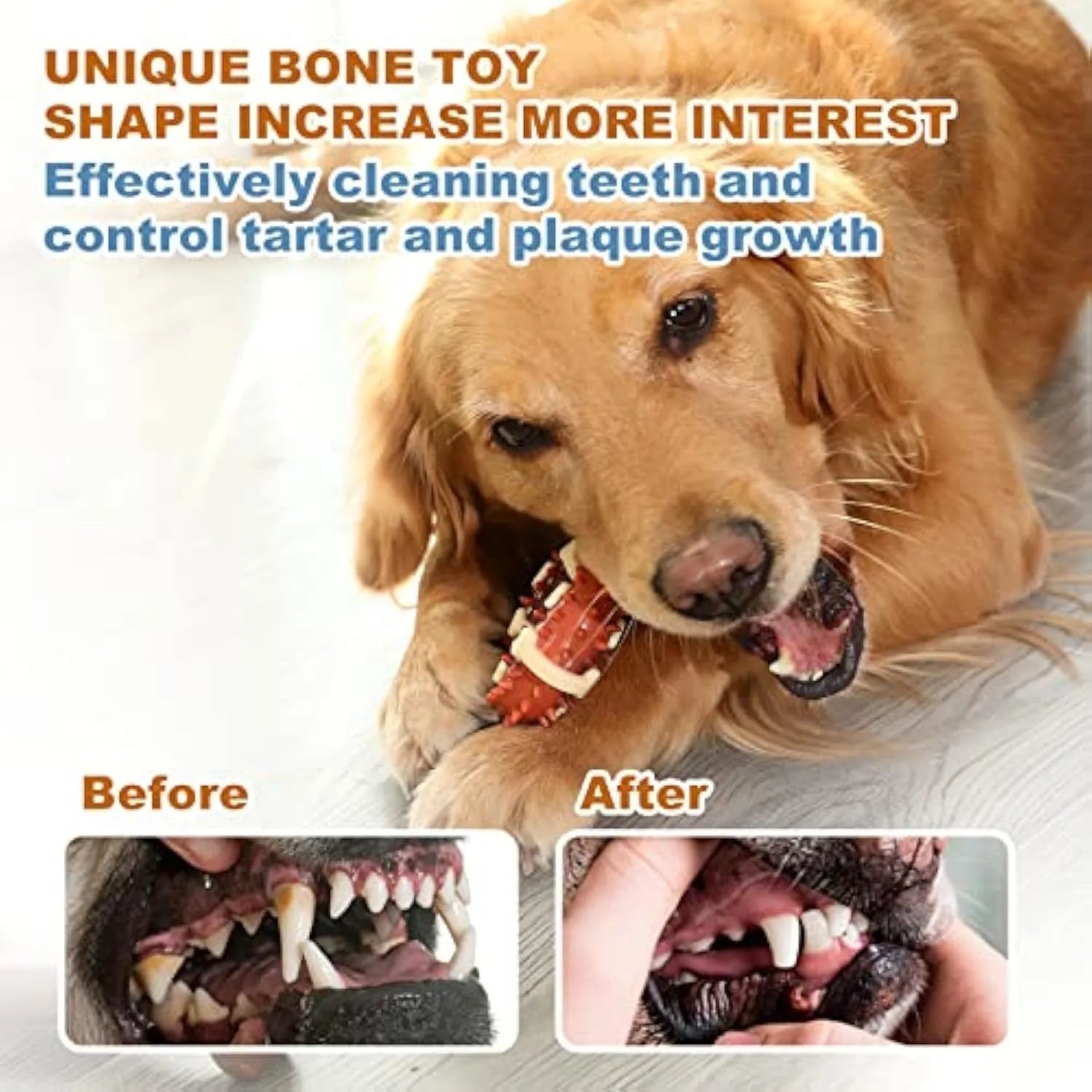 Natural rubber bone-shaped dog molar toy for teeth grinding and anxiety relief in two size options