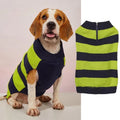 Grey dog sweater with blue collar, horizontal zipper, and a buttoned chest pocket on a small dog.
