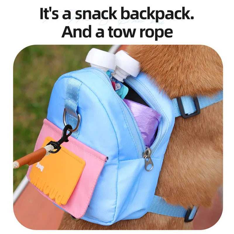 Blue pet snack storage backpack harness with breathable mesh and adjustable straps on a small dog outdoors
