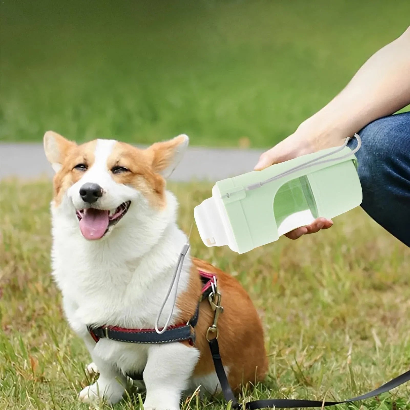 2-in-1 travel dog water bottle with 690ml capacity and green lanyard, folded to 20cm x 9cm, showing transparent body and dual compartments