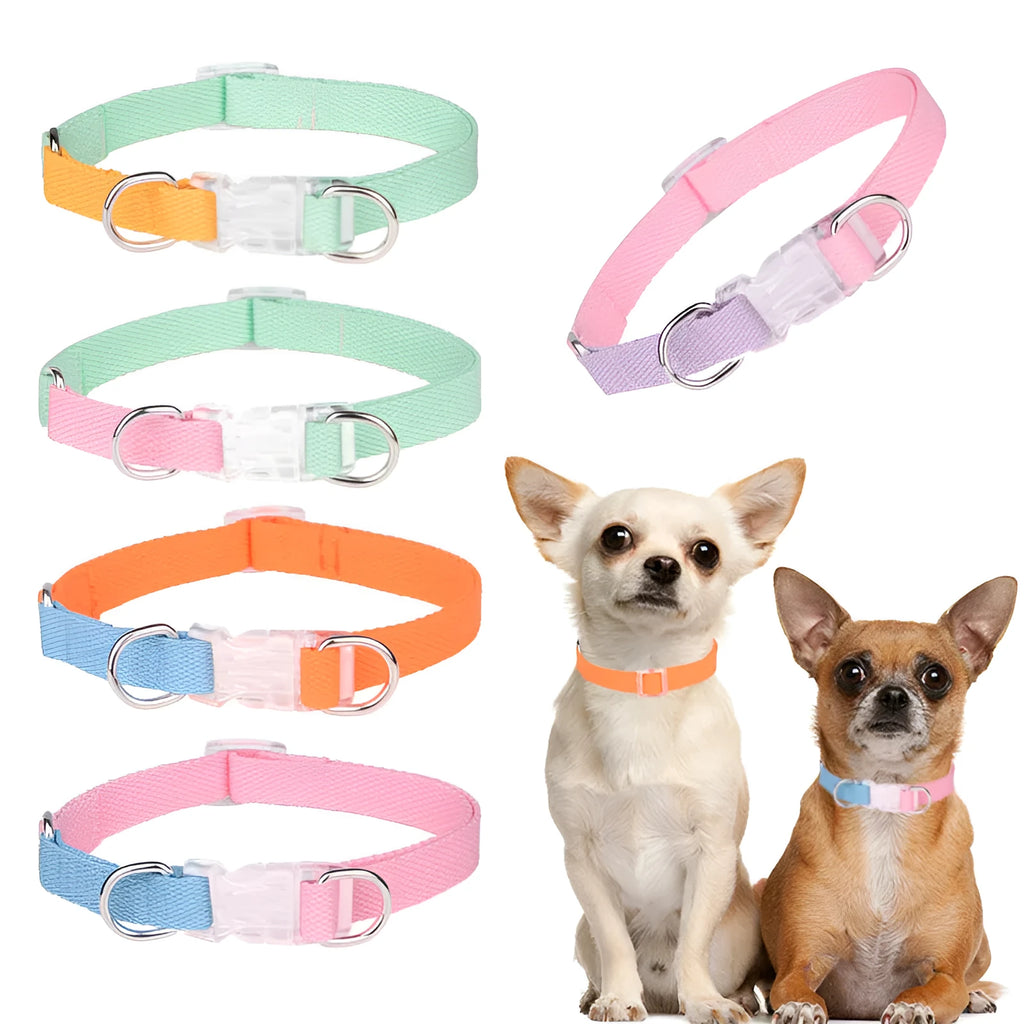 Polyester three-piece dog collar set with ribbon collar, lead, and chest strap in pink and green colour combination