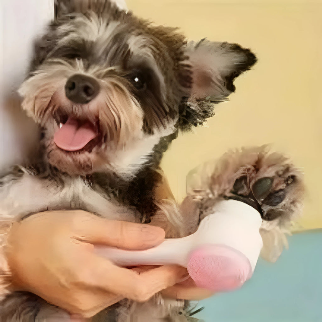 Blue and pink pet paw brush grooming tool for dogs and cats