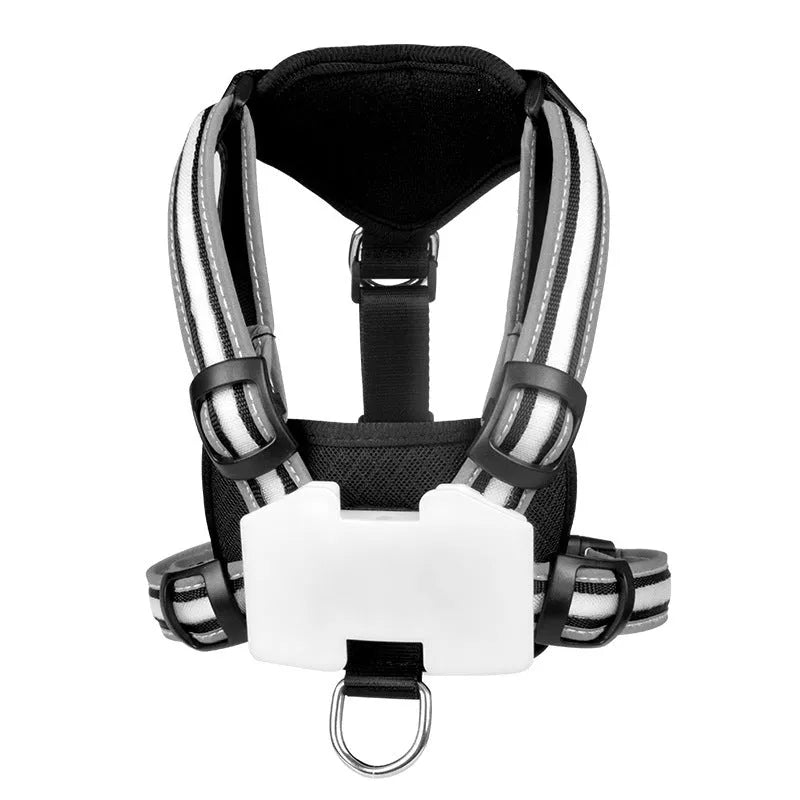 Luminous strap charging dog lead with seven-colour transformation, nylon construction, in size M