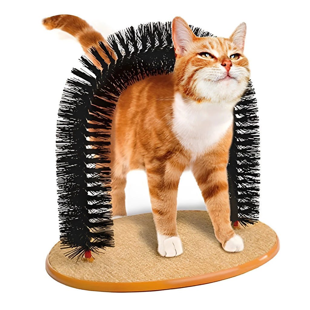 A white plastic cat grooming arch with built-in brush bristles for scratching and self-grooming.