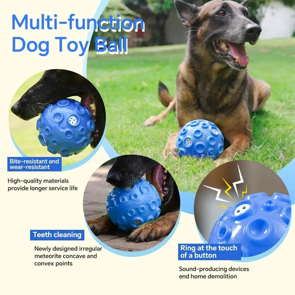 Colourful rubber dog chew ball with textured surface and squeaky sound mechanism