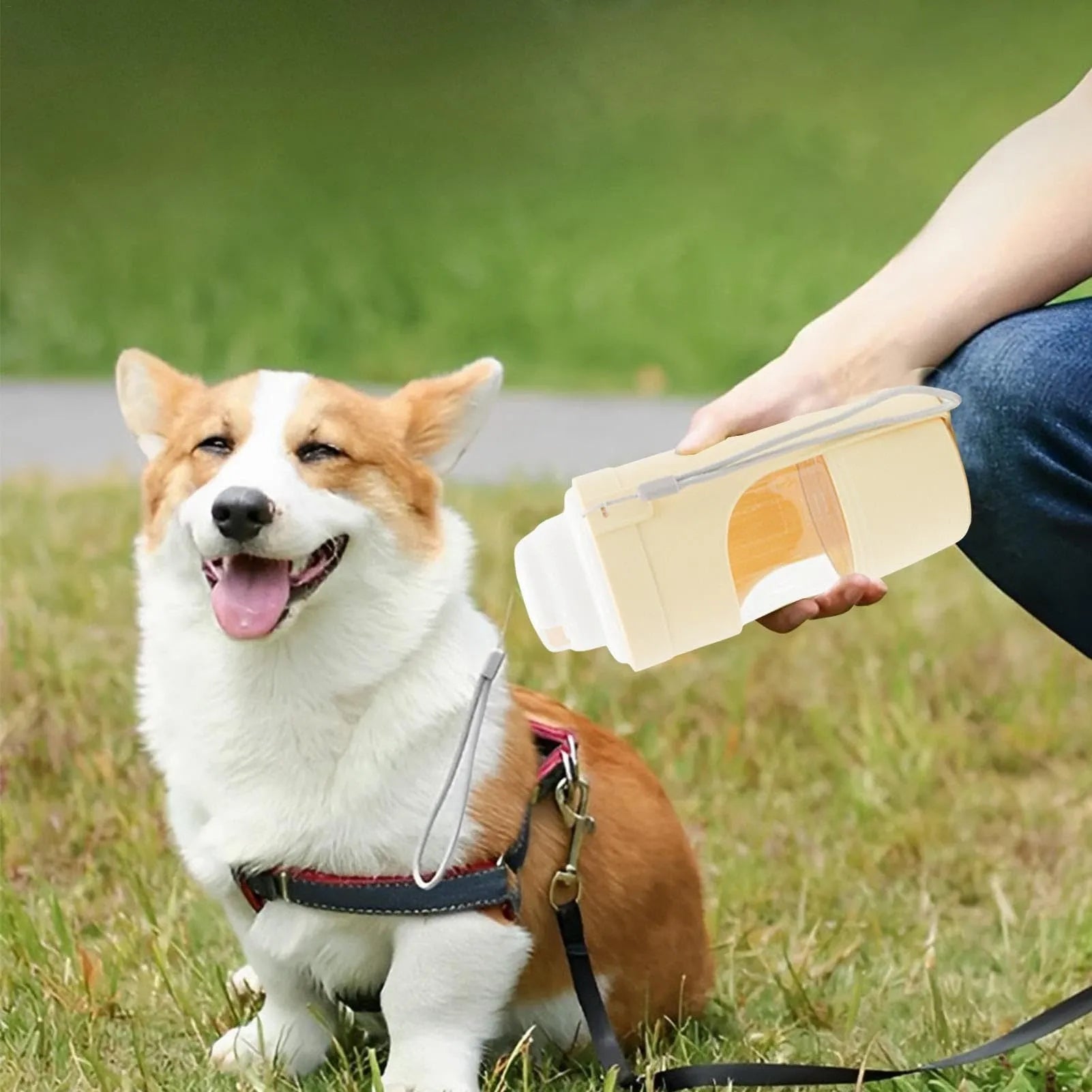 2-in-1 travel dog water bottle with 690ml capacity and green lanyard, folded to 20cm x 9cm, showing transparent body and dual compartments
