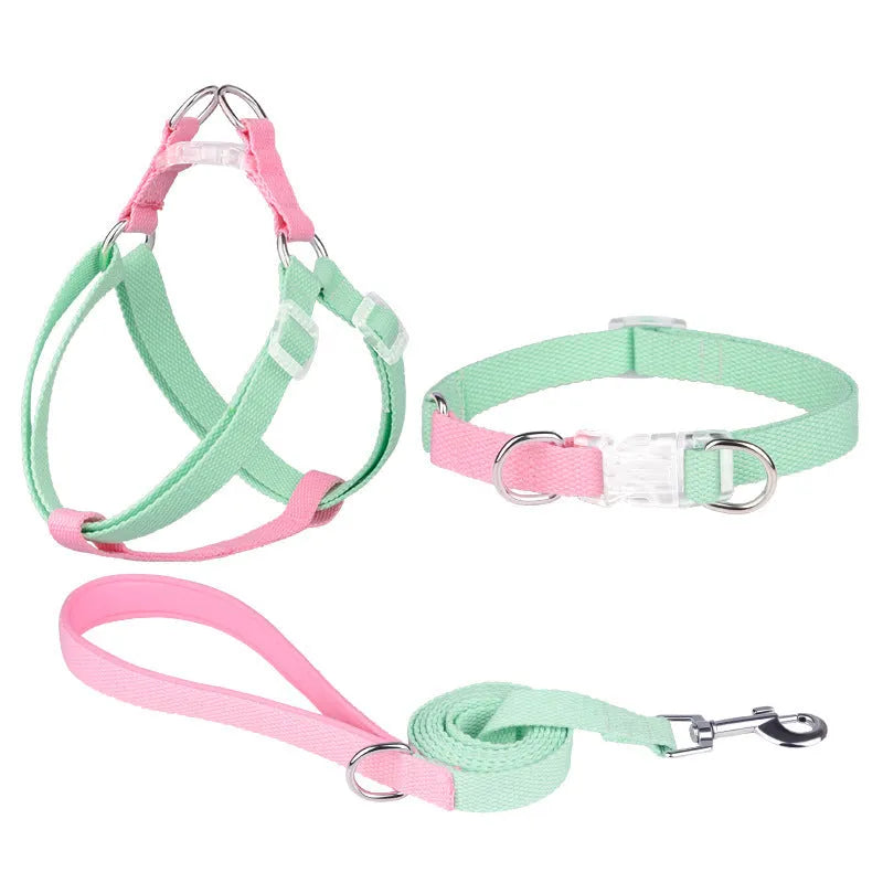 Polyester three-piece dog collar set with ribbon collar, lead, and chest strap in pink and green colour combination