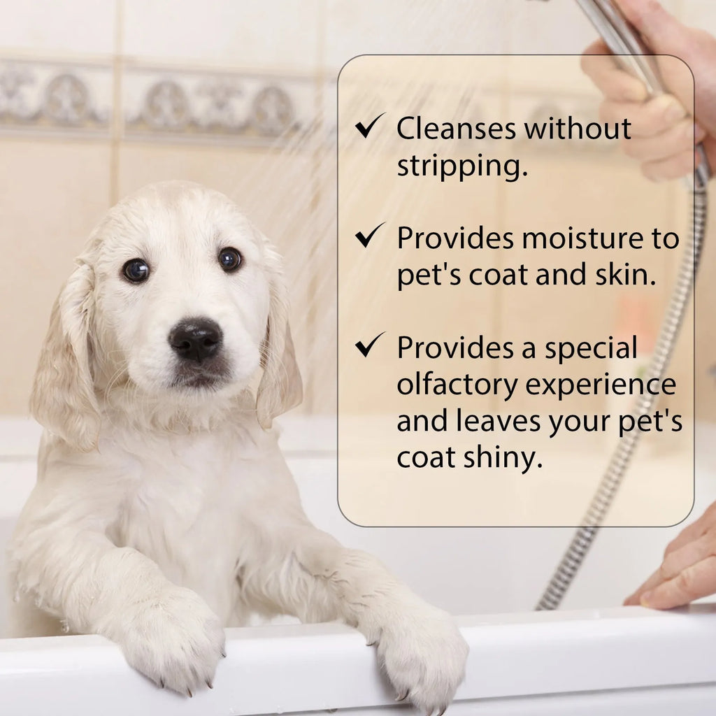 Bottle of mild dog shampoo for soft, clean hair, shown in 100ml and 300ml sizes.