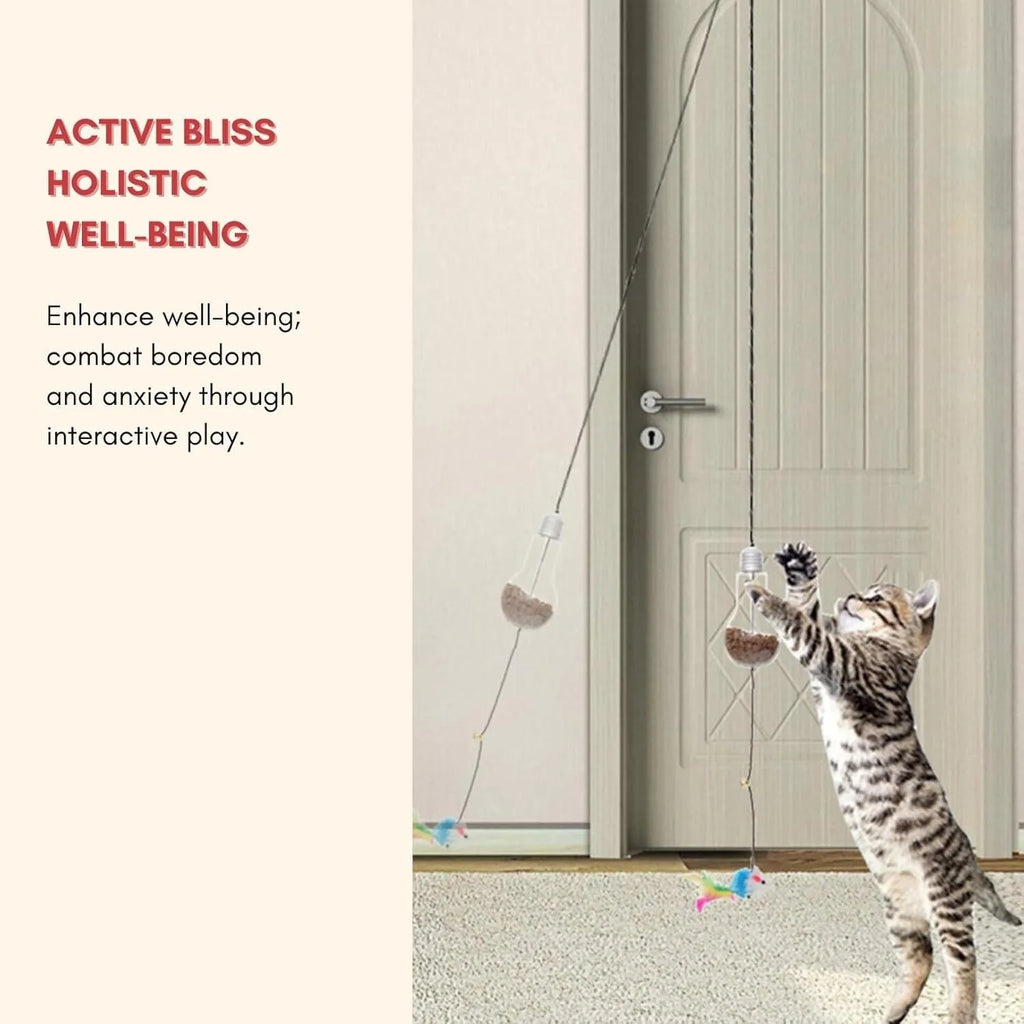 Creative interactive cat toy hanging on door frame with gray and yellow colour options, elastic rope, and treat dispensing bulb